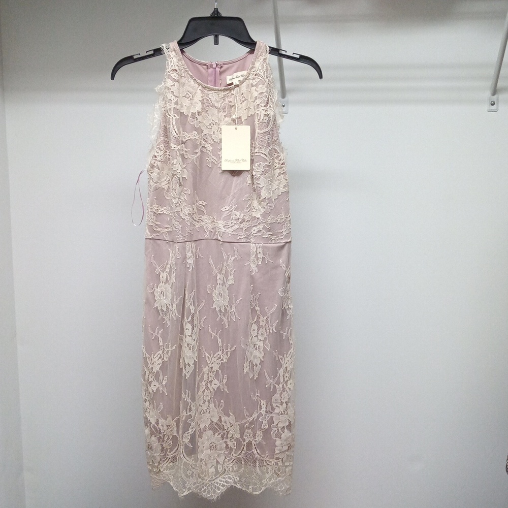 Southern fried chics dress